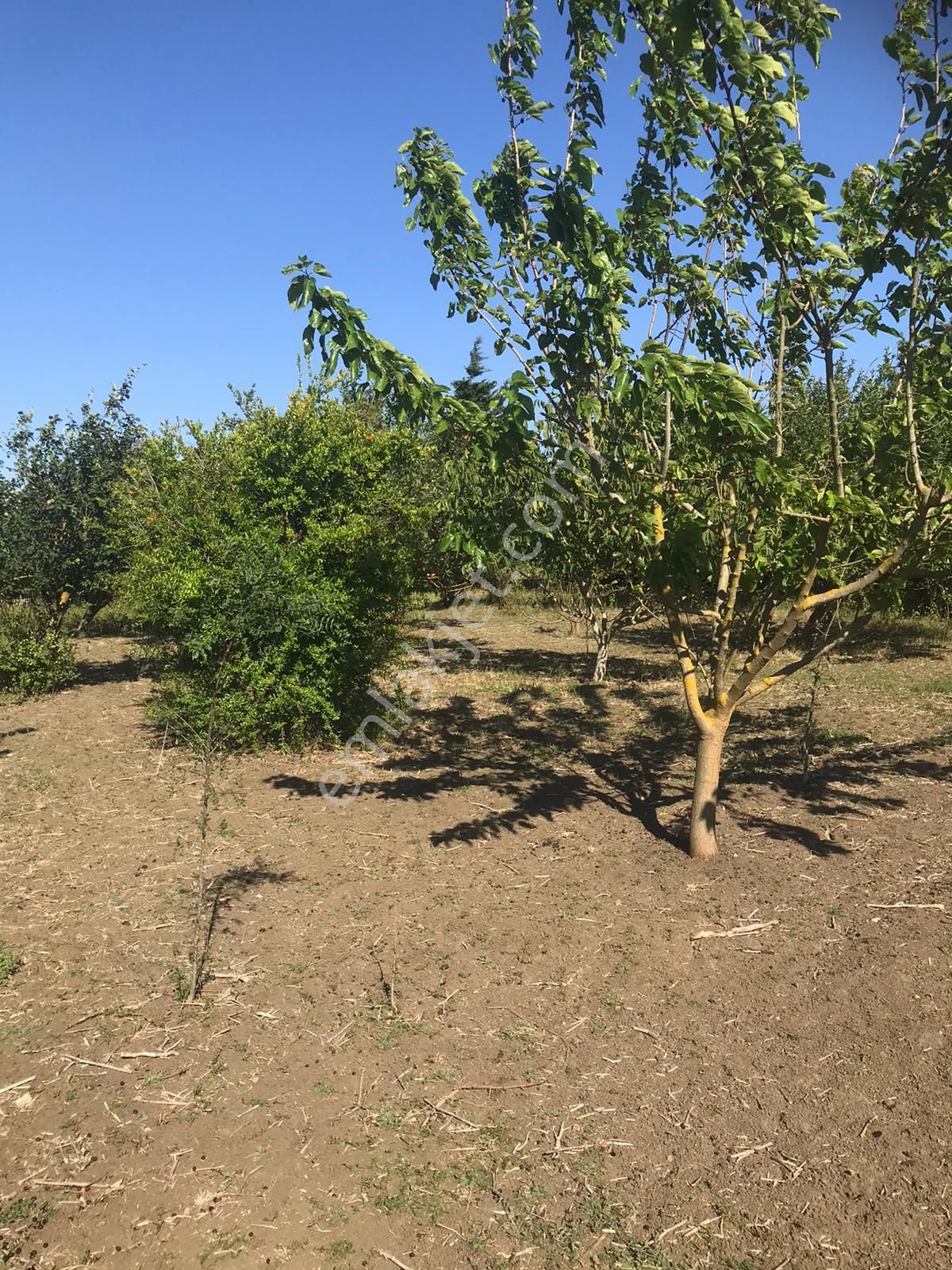 Silivri Akörende Doğa Harikası 13650m2 10+1 Havuzlu Villa - Görsel 16