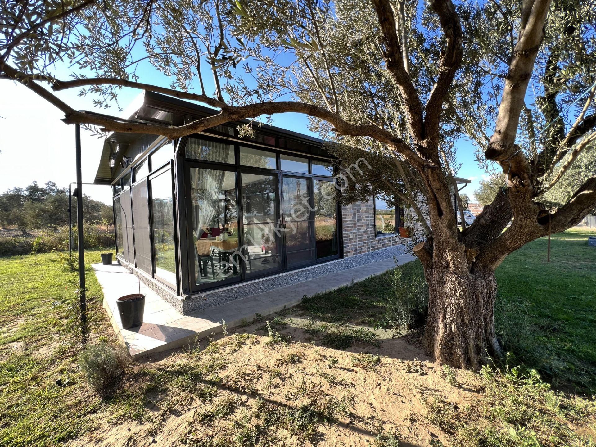 Balıkesir Ayvalık Ta Satılık Ciftlik Evi - Görsel 19