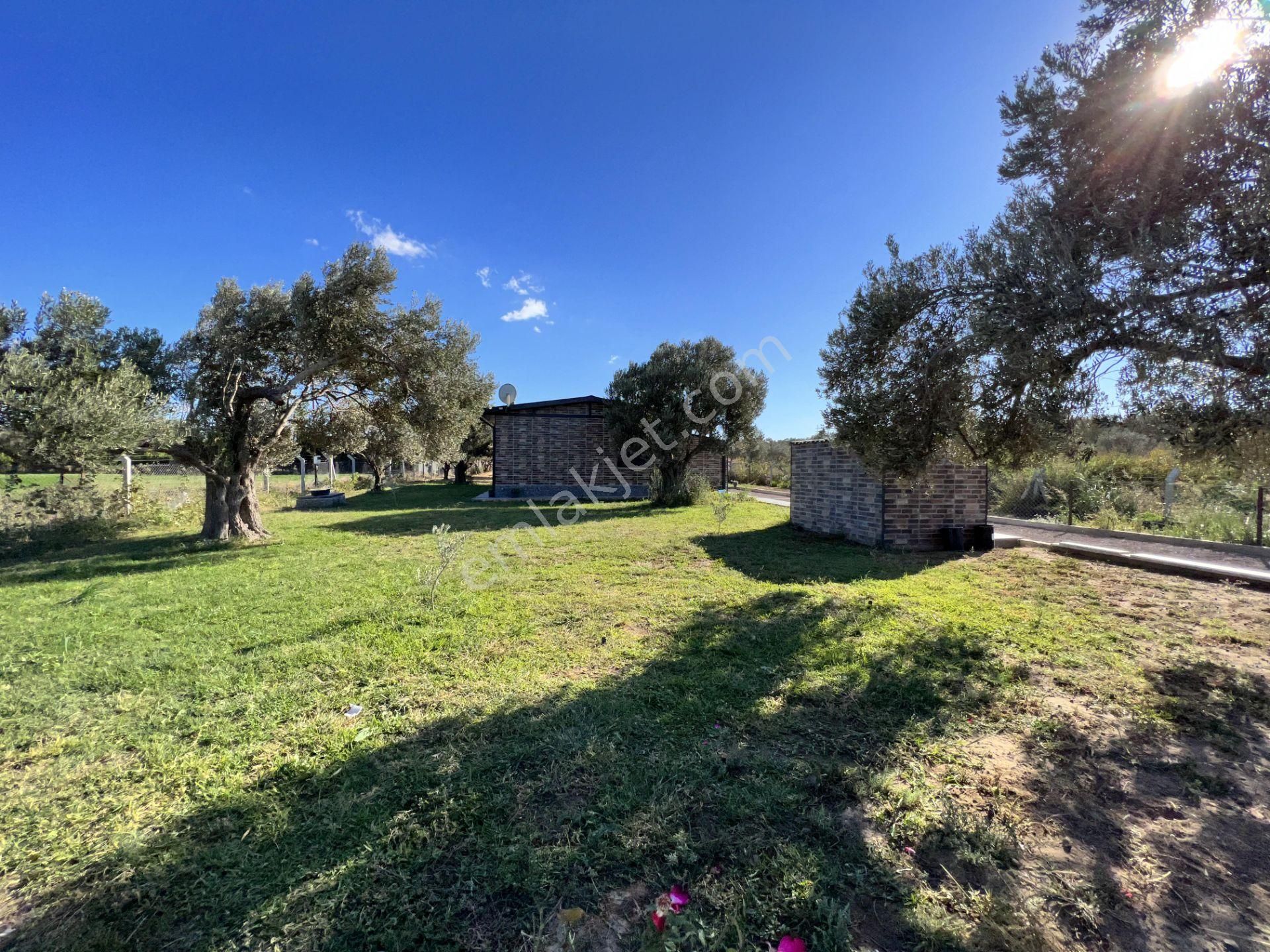 Balıkesir Ayvalık Ta Satılık Ciftlik Evi - Görsel 21