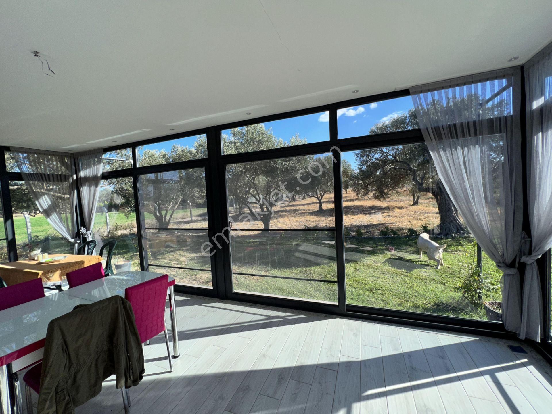 Balıkesir Ayvalık Ta Satılık Ciftlik Evi - Görsel 6