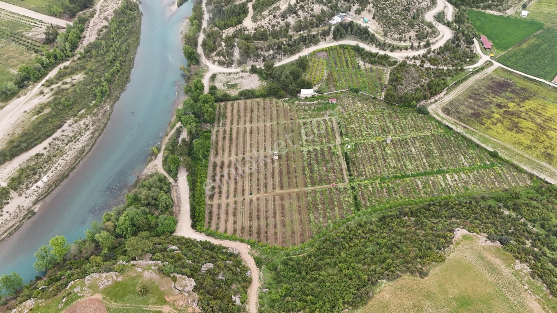 Manavgat Sağırin'de, Su Kenarı, Satılık 38 Dönüm Avokado Bahçesi - Görsel 2