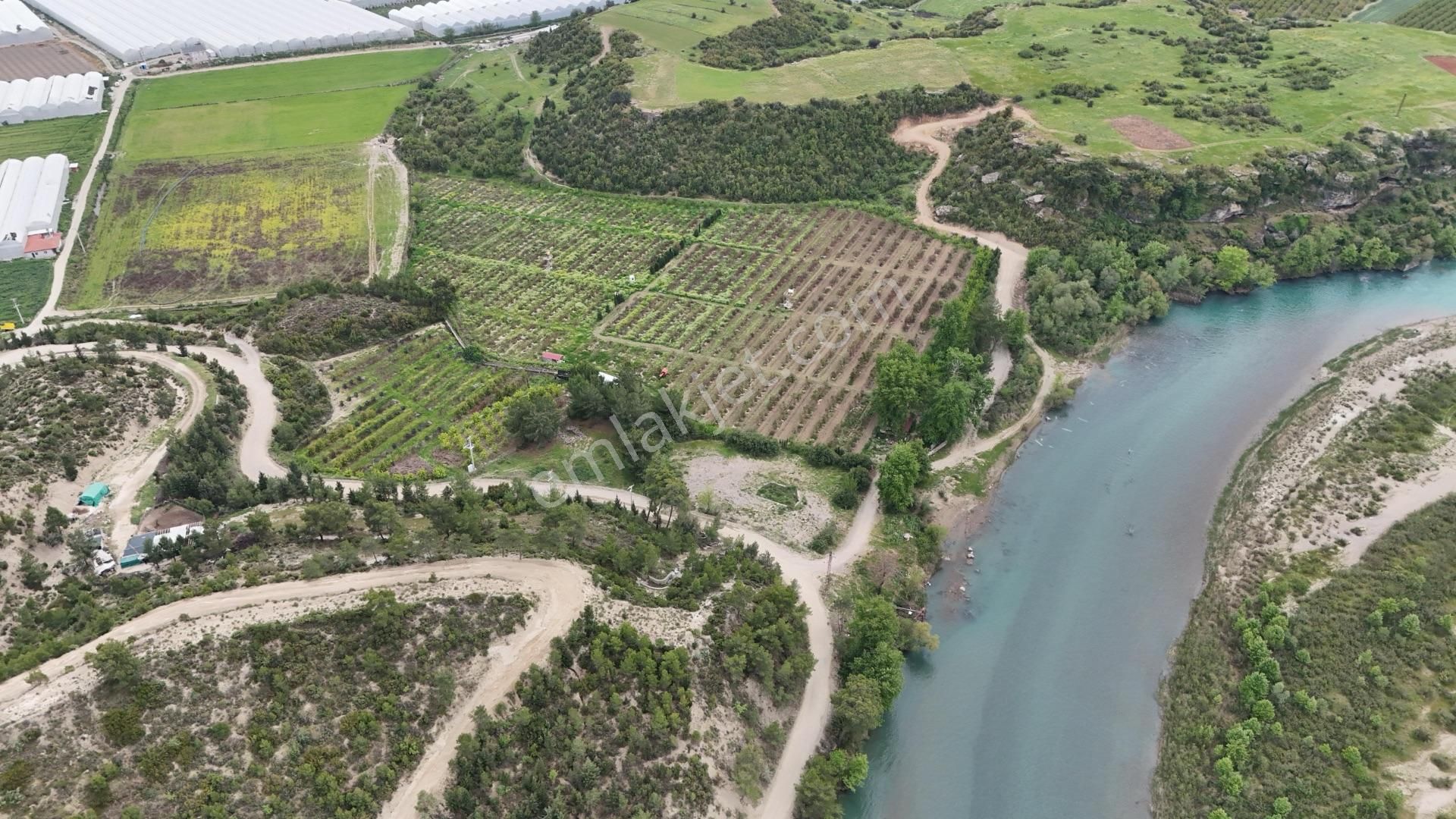 Manavgat Sağırin'de, Su Kenarı, Satılık 38 Dönüm Avokado Bahçesi - Görsel 7