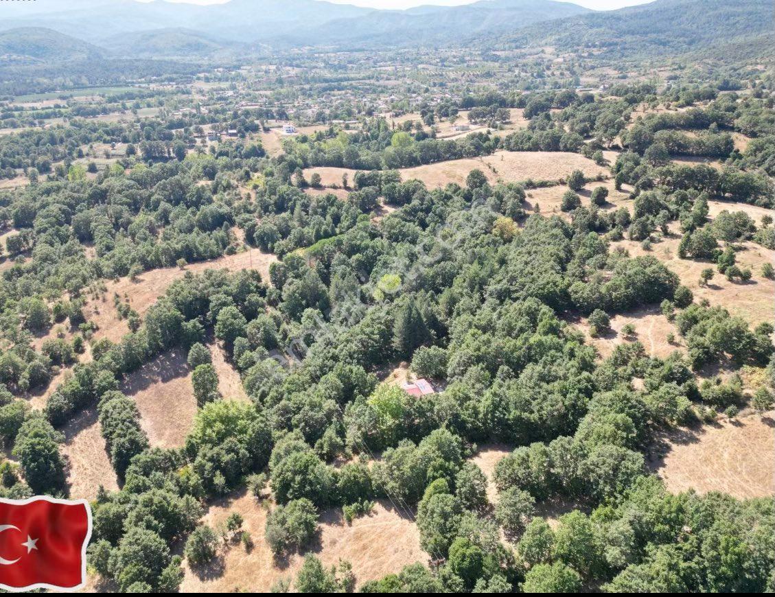 Çanakkale Yenice Örencik'de Tarla - Araç Takasa Açık - Görsel 9