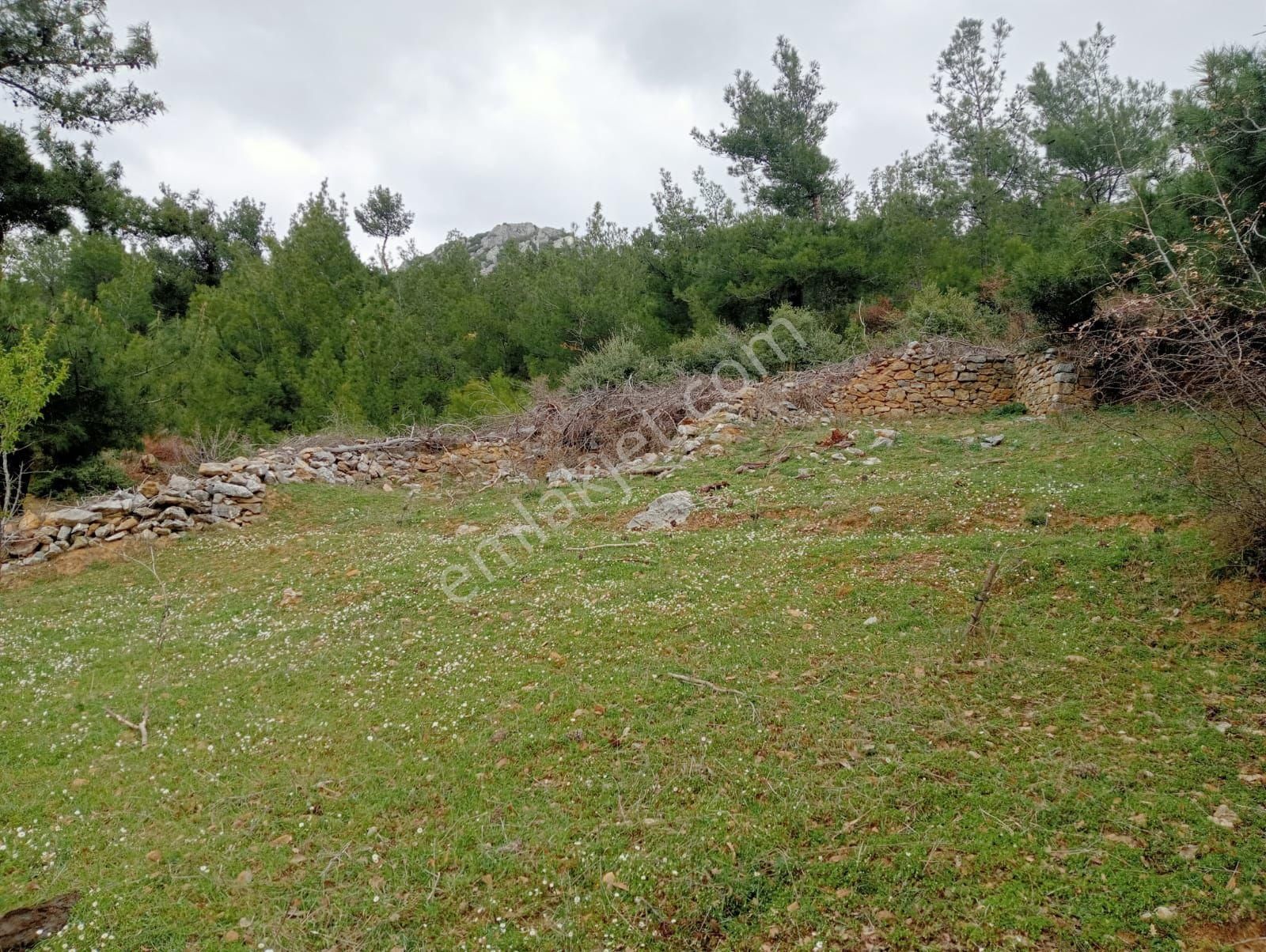 Bergama Çamoba'da Ormana Komşu Manzaralı Ve İmarlı Arsa Satılık - Görsel 4