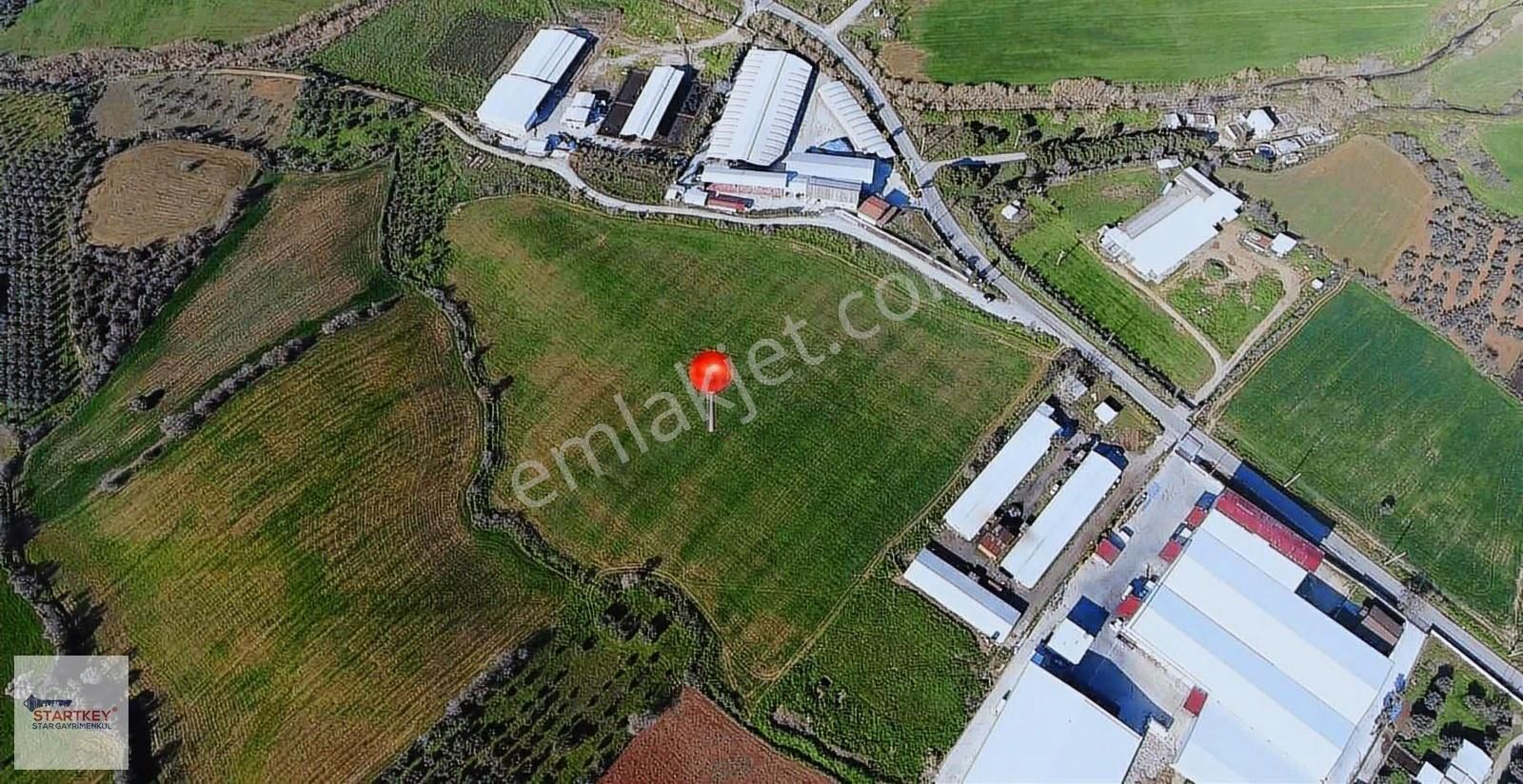 Startkey Star'dan İzmir Kemalpaşa Halilbeyli'de Harika Arazi - Görsel 12