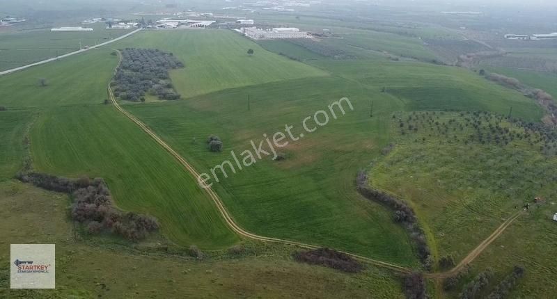 Startkey Stardan Halilbeylide Değerli Lokasyonda Arazi - Görsel 2