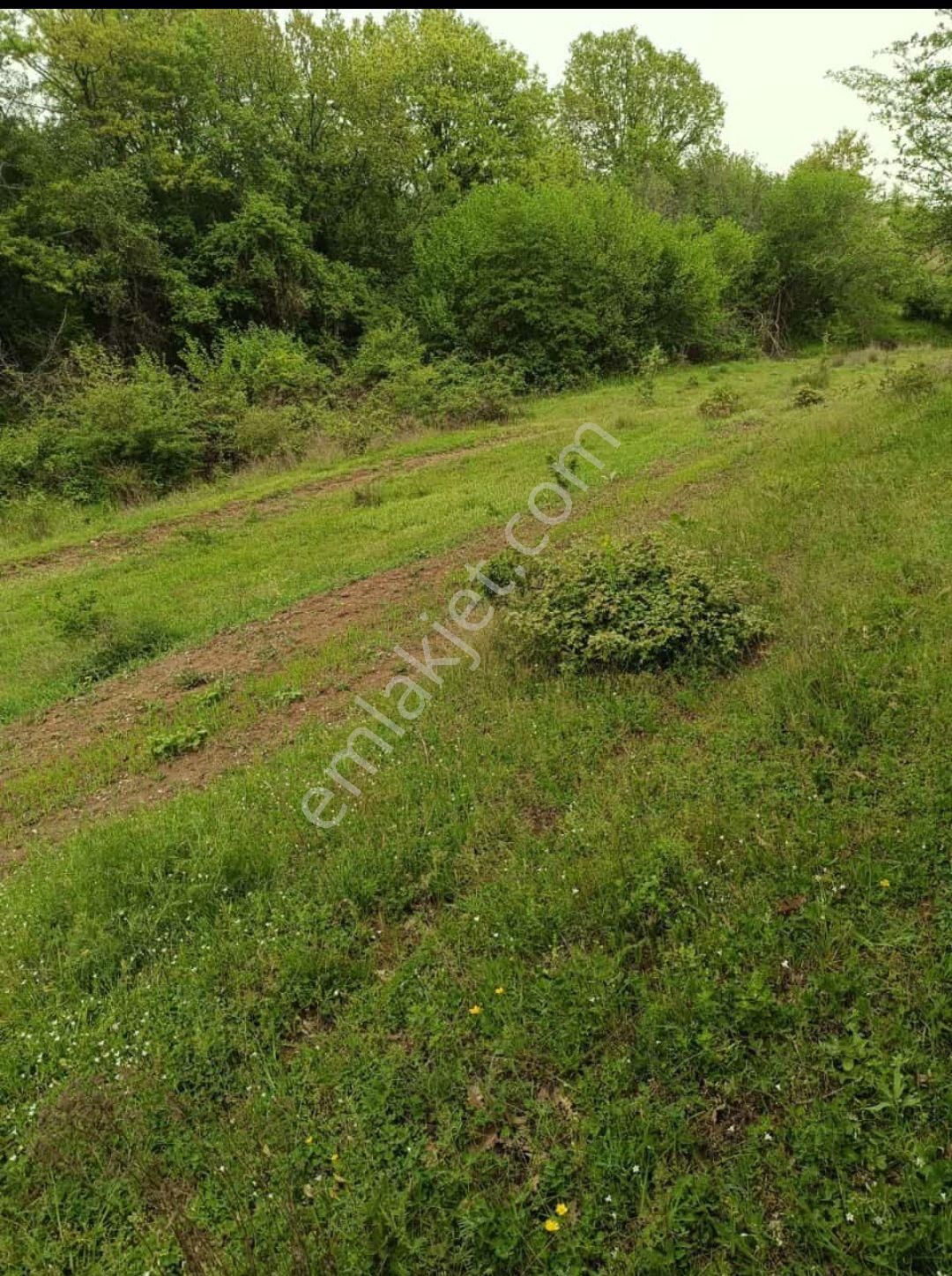 Kırklareli Kuzulu Kiralık Arsa