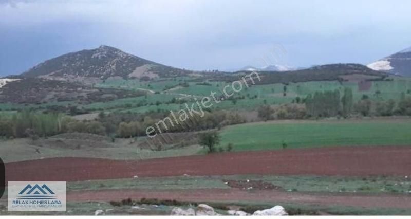 Yeşilova Çeltek Köyünde 2400 M2 Satılık Arazi - Görsel 3