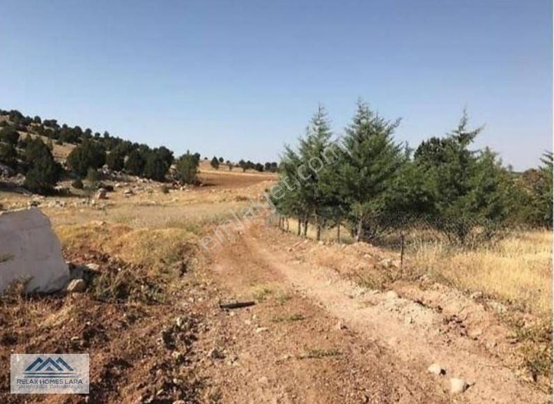 Yeşilova Çeltek Köyünde 2400 M2 Satılık Arazi - Görsel 2