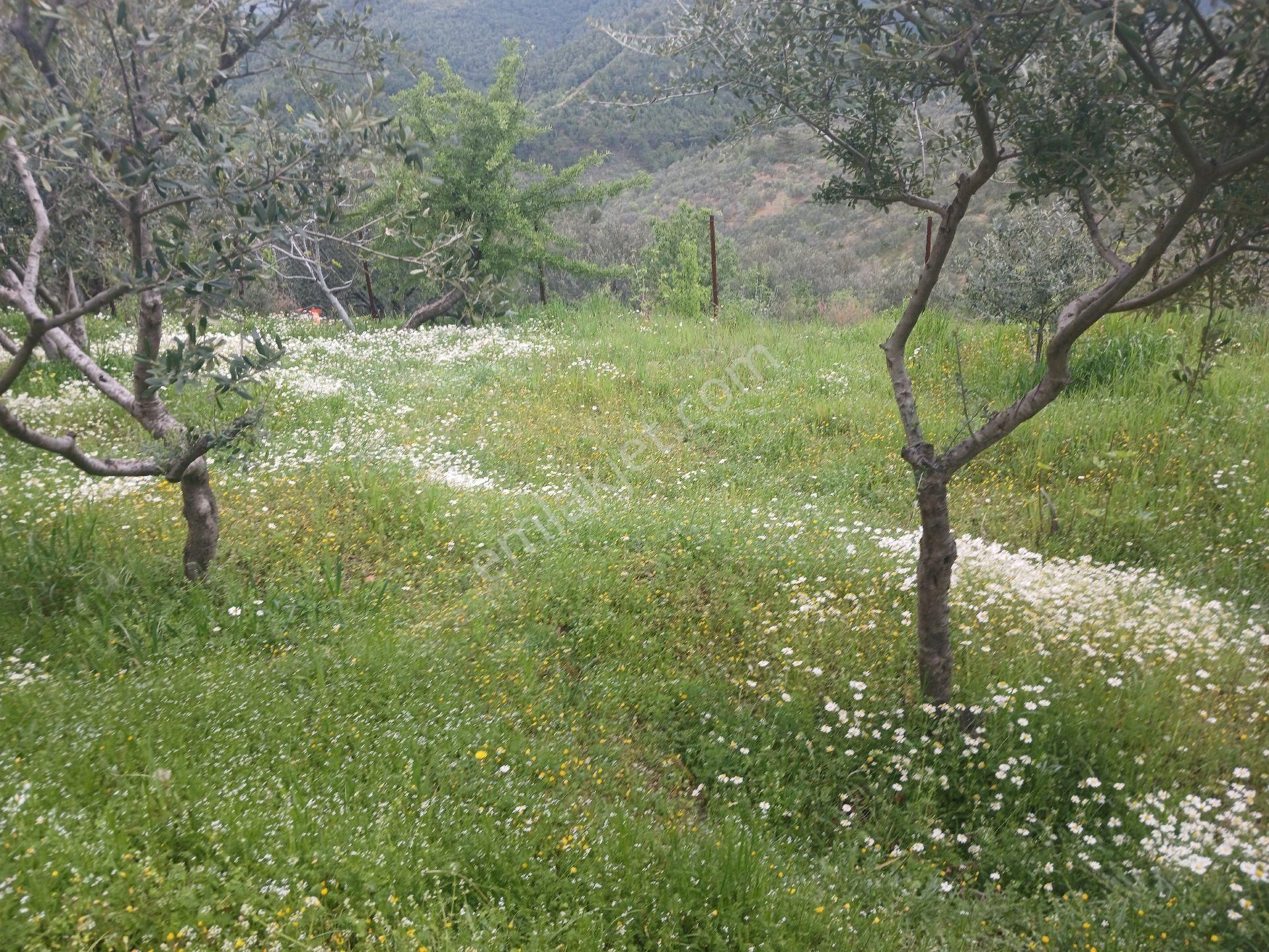Aydemir Emlaktan Satılık Müstakil Ev - Görsel 21