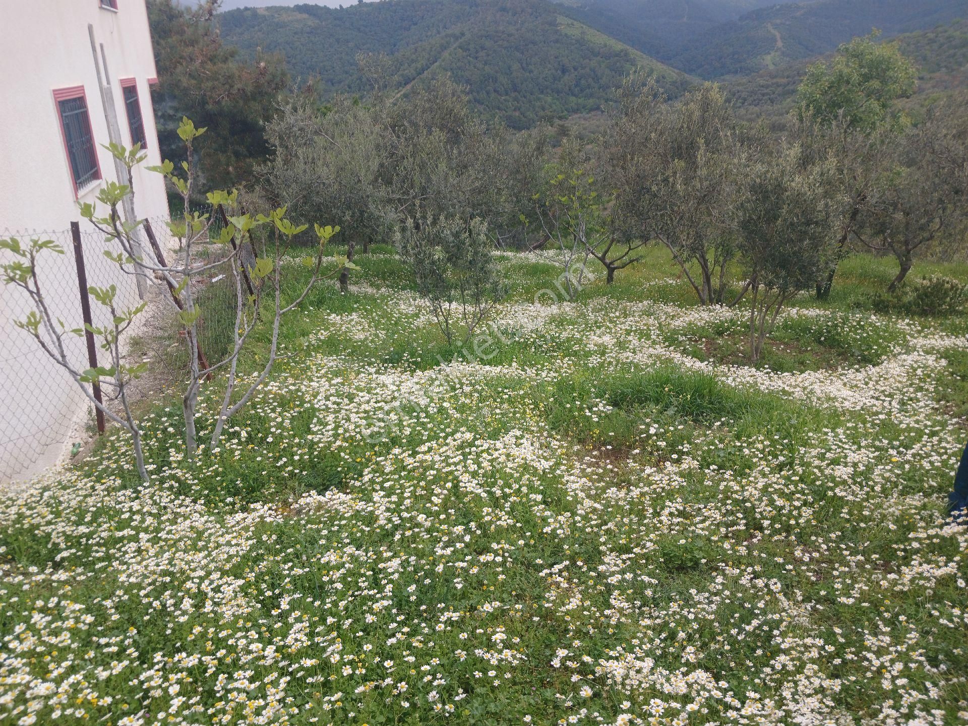 Aydemir Emlaktan Satılık Müstakil Ev - Görsel 27