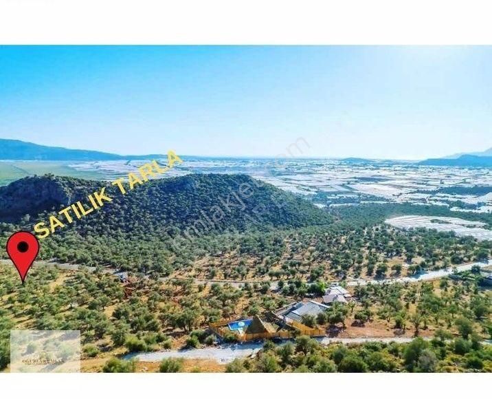 Oğuzlar Emlakdan Kaş Çavdır Mah. Satılık 1.790.13 M2 Tarla