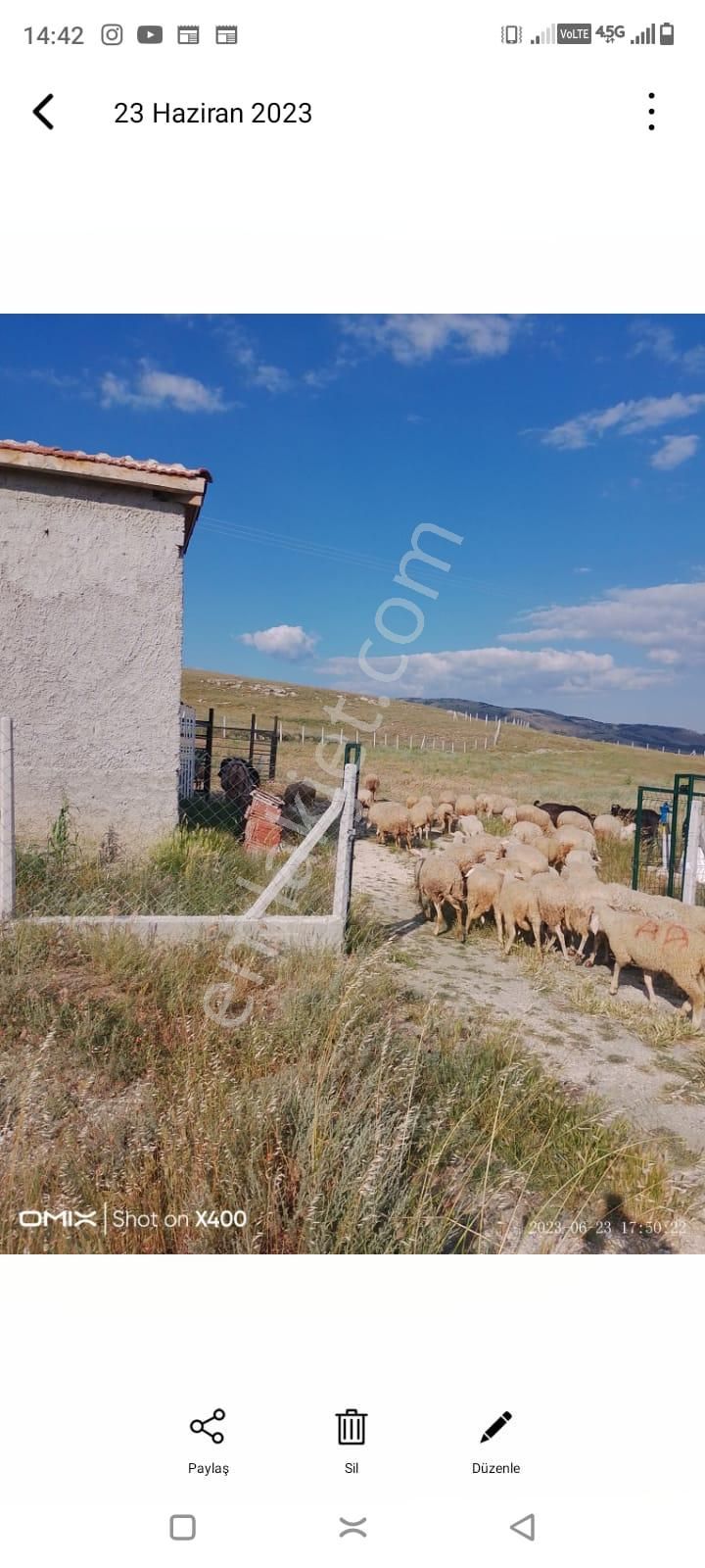 Eskişehir - Tepebaşı- Kozkayı Mah Satılık Besihane + Ev - Görsel 2