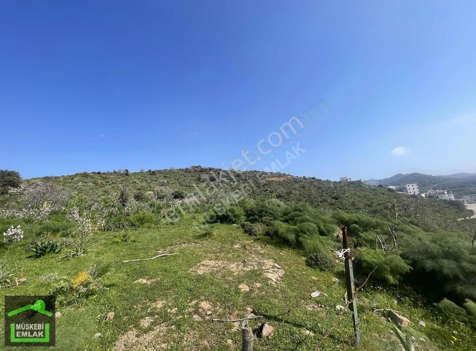 Bodrum İslamhanelerinde Satılık Deniz Manzaralı Tarla - Görsel 2