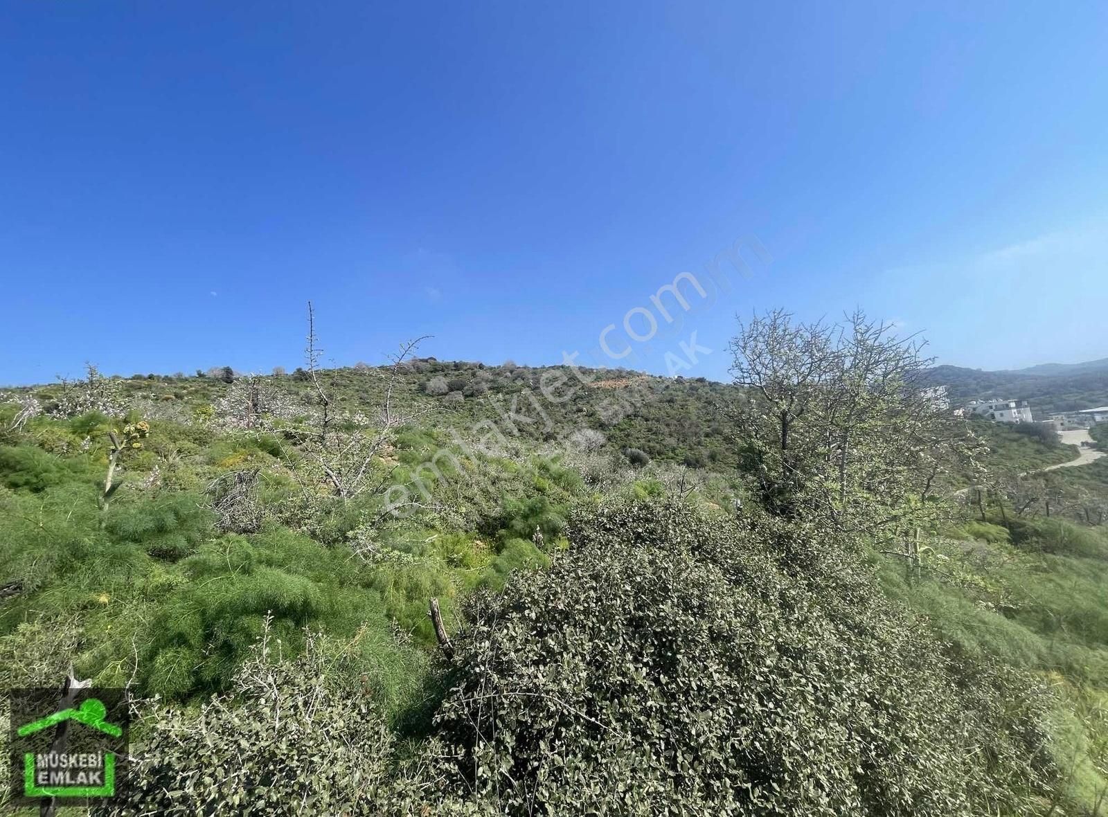 Bodrum İslamhanelerinde Satılık Deniz Manzaralı Tarla - Görsel 7