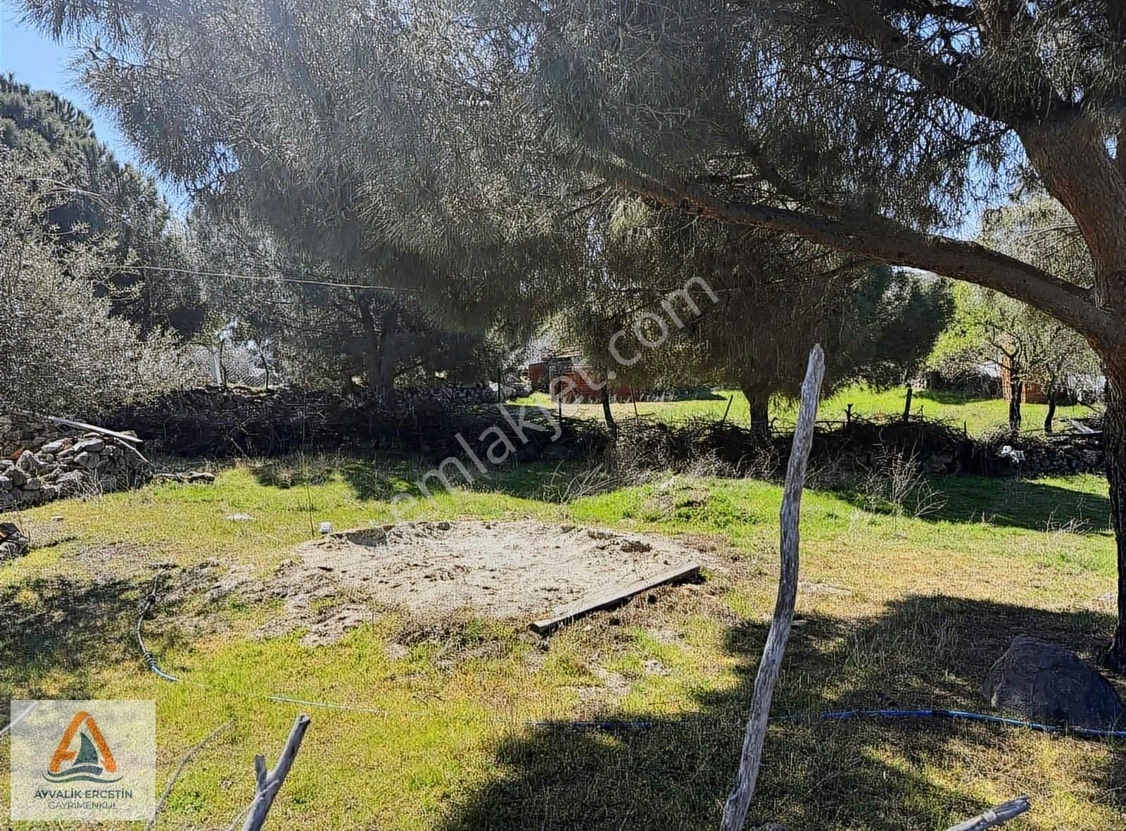 Ayvalık Beşiktepe Sessiz Doğa Deniz Manzaralı 578 M2 Arsa