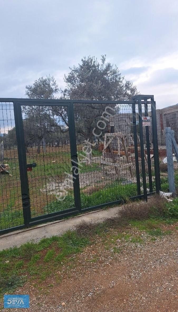 Torbalı Dağ Kızılca Köyünde 350 Metre Satılık Bahçe - Görsel 6