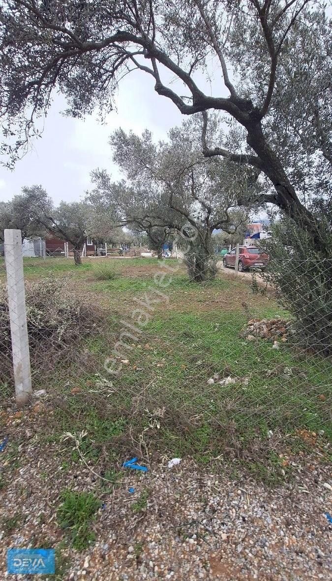 Torbalı Dağ Kızılca Köyünde 350 Metre Satılık Bahçe - Görsel 10