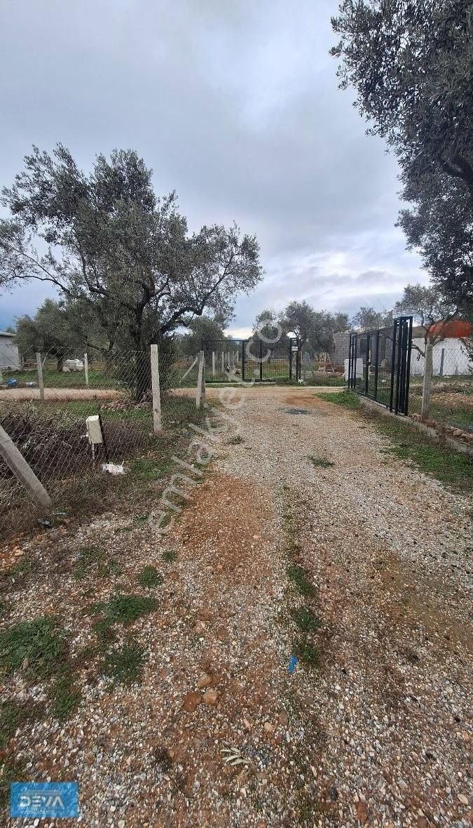 Torbalı Dağ Kızılca Köyünde 350 Metre Satılık Bahçe - Görsel 13