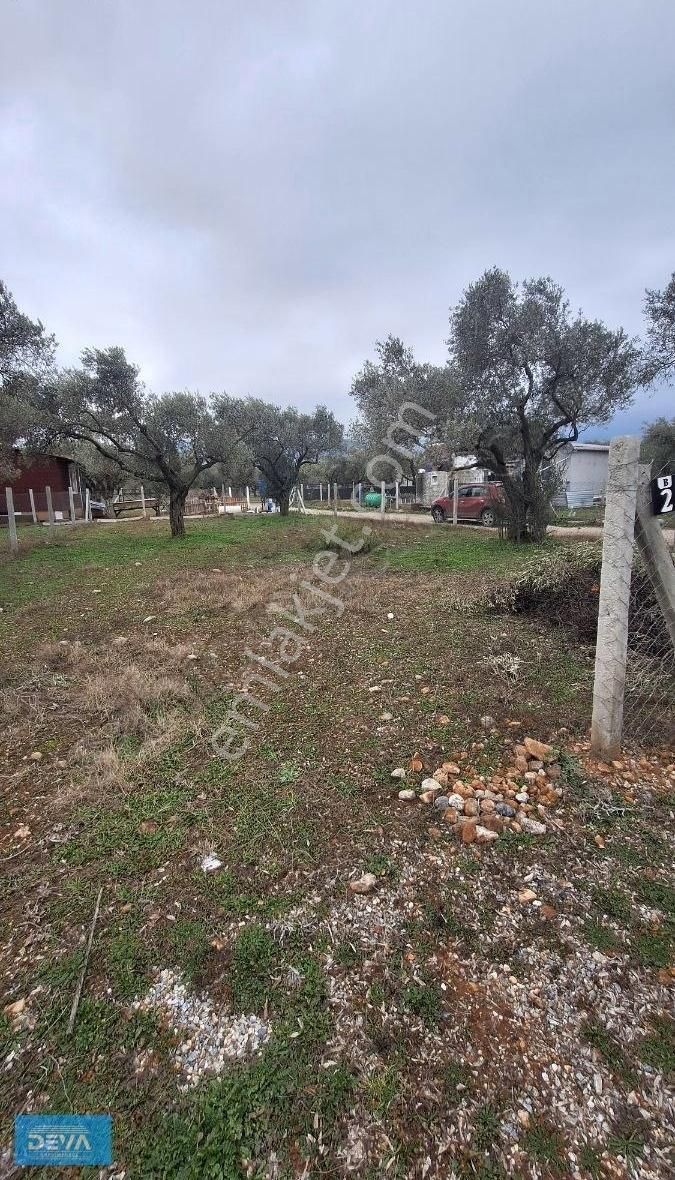 Torbalı Dağ Kızılca Köyünde 350 Metre Satılık Bahçe - Görsel 15