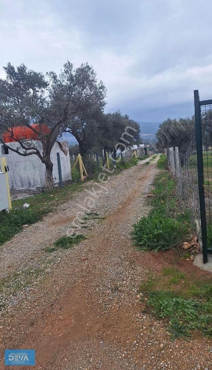 Torbalı Dağ Kızılca Köyünde 350 Metre Satılık Bahçe - Görsel 12