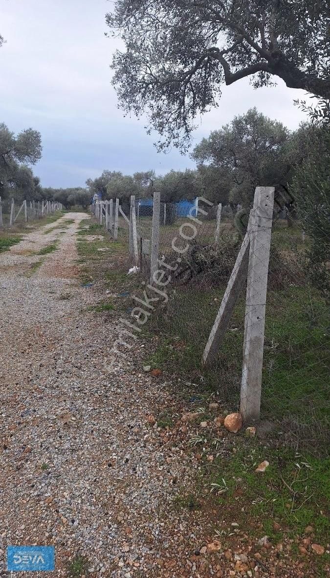 Torbalı Dağ Kızılca Köyünde 350 Metre Satılık Bahçe - Görsel 9