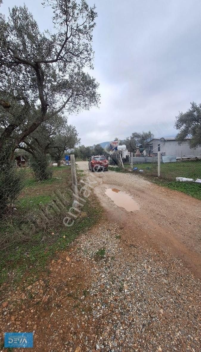 Torbalı Dağ Kızılca Köyünde 350 Metre Satılık Bahçe - Görsel 11