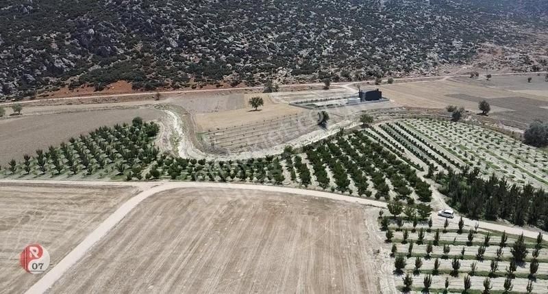 Antalya Korkuteli Esenyurt(karadin)'de Satılık 4.206m2 Bahçe - Görsel 14