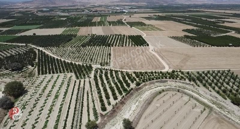Antalya Korkuteli Esenyurt(karadin)'de Satılık 4.206m2 Bahçe - Görsel 5