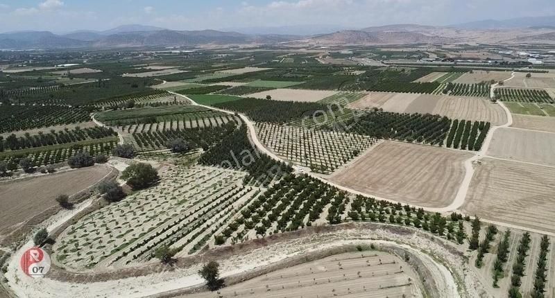 Antalya Korkuteli Esenyurt(karadin)'de Satılık 4.206m2 Bahçe - Görsel 7