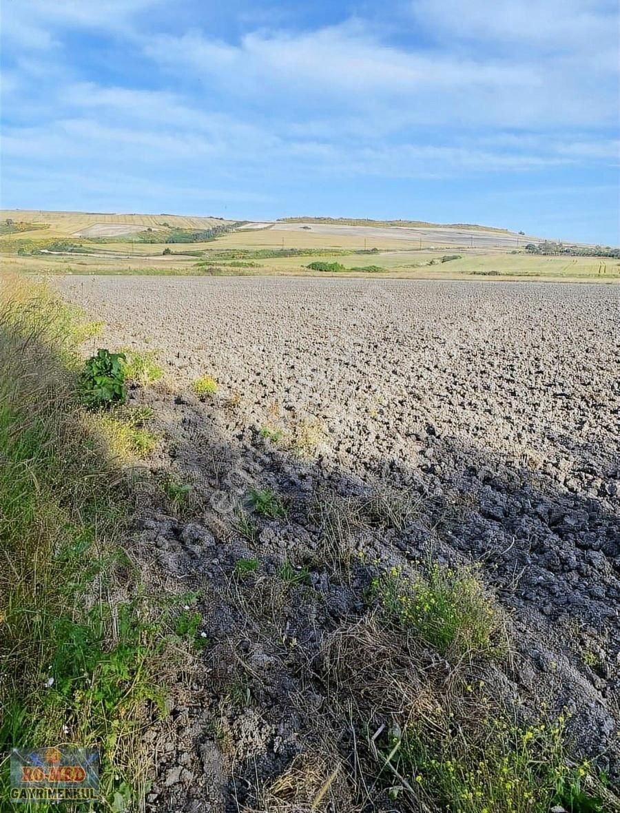 Çatalca Nakkaş Köyünde Kaçırılmayacak 661m2 Fırsat Arsa - Görsel 8