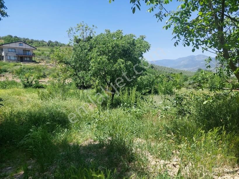 Geyve Umurbeyde Mükemmel Konumda Satılık Bahçe
