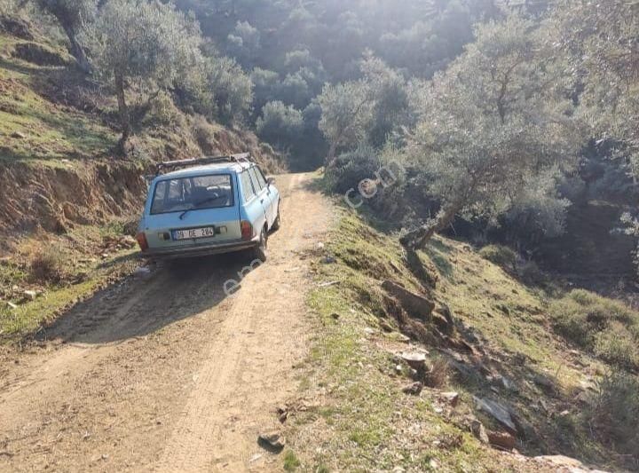 Doğa Gayrimenkul'den İzmir'de Kaçırılmayacak Yatırımlık Zeytinlik - Görsel 7