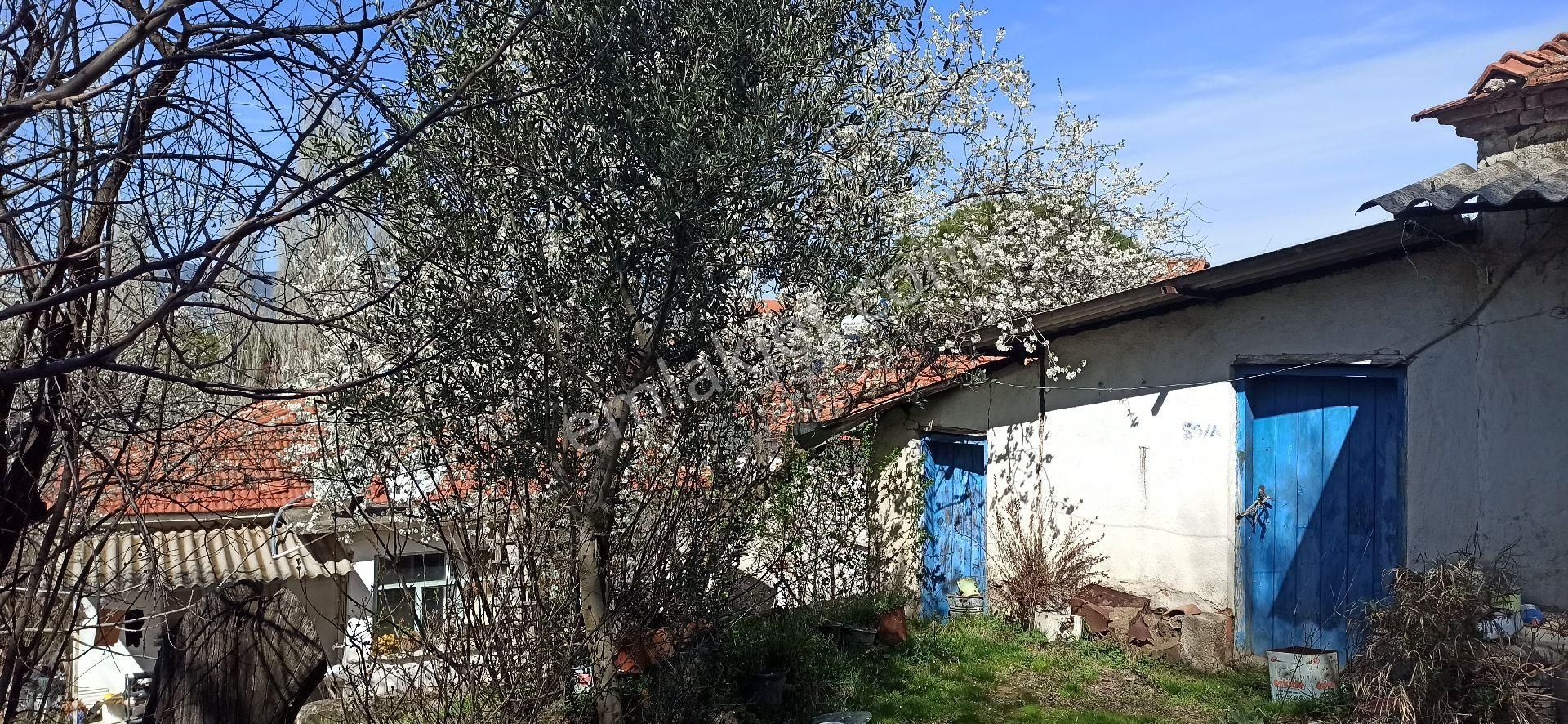 Kozak Yaylasında Müstakil Tapulu 500 M2 Taş Ev - Görsel 26