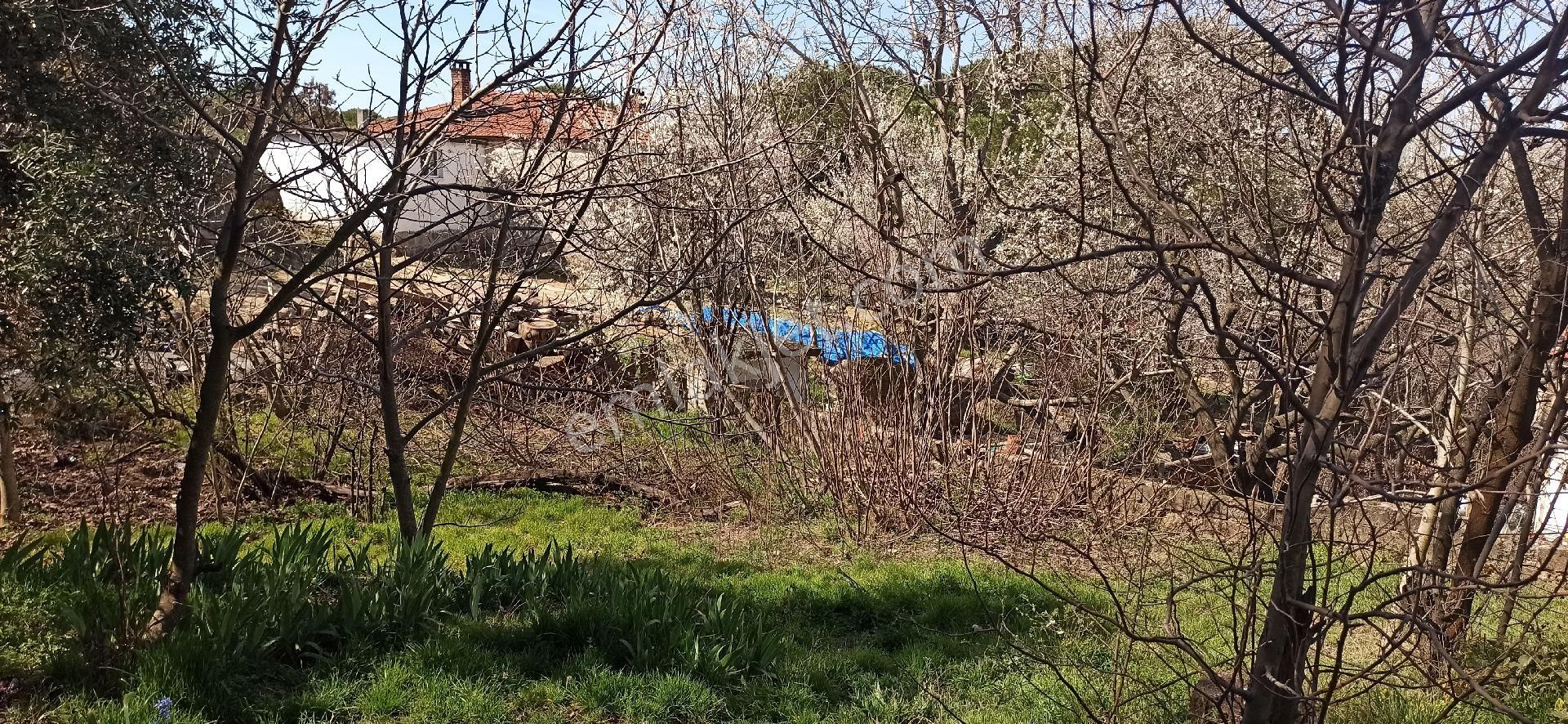 Kozak Yaylasında Müstakil Tapulu 500 M2 Taş Ev - Görsel 7
