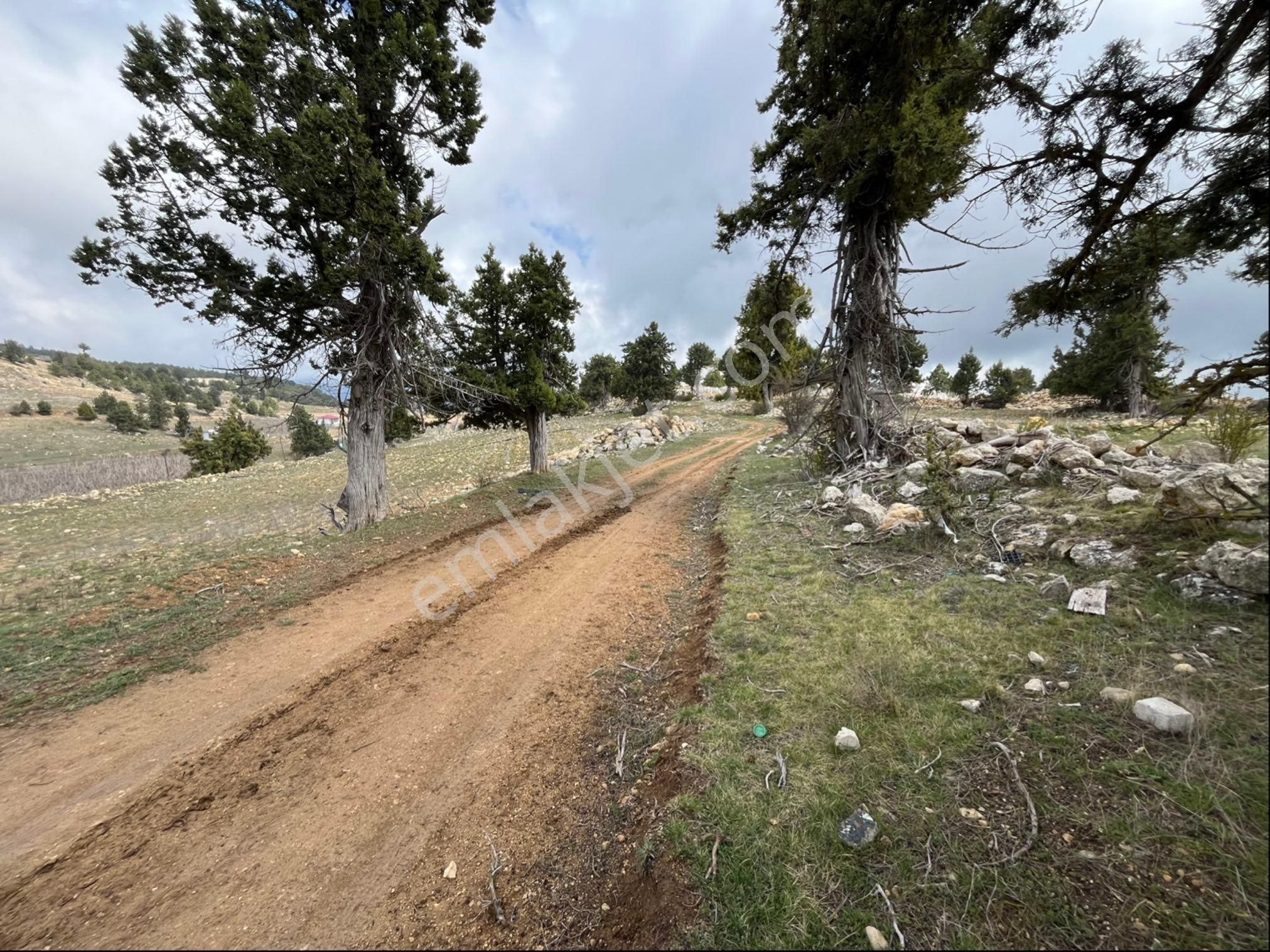 Çerçili Süpürgelik’te 3.800 M2 Satılık Tarla - Görsel 9