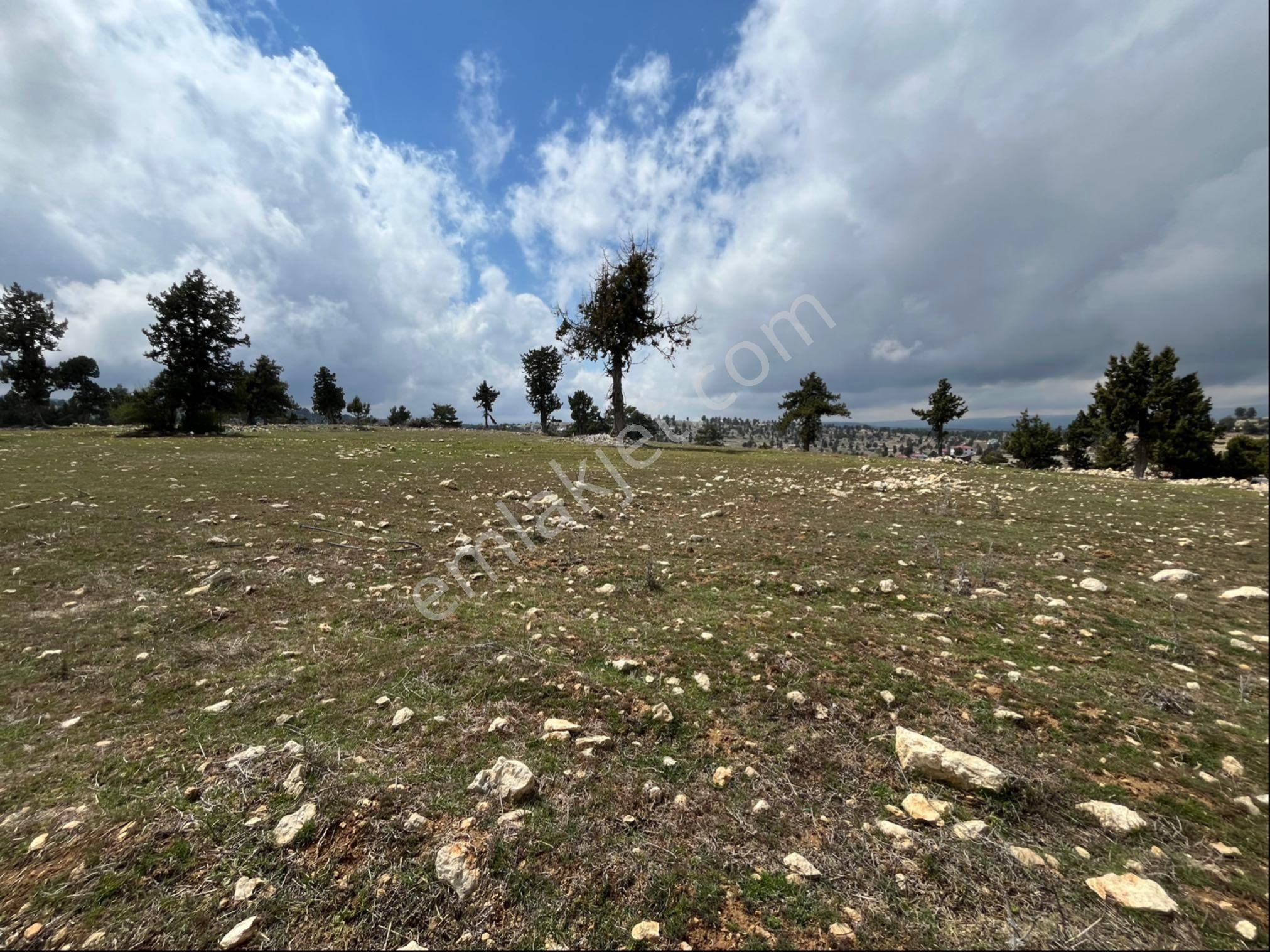 Çerçili Süpürgelik’te 3.800 M2 Satılık Tarla - Görsel 11