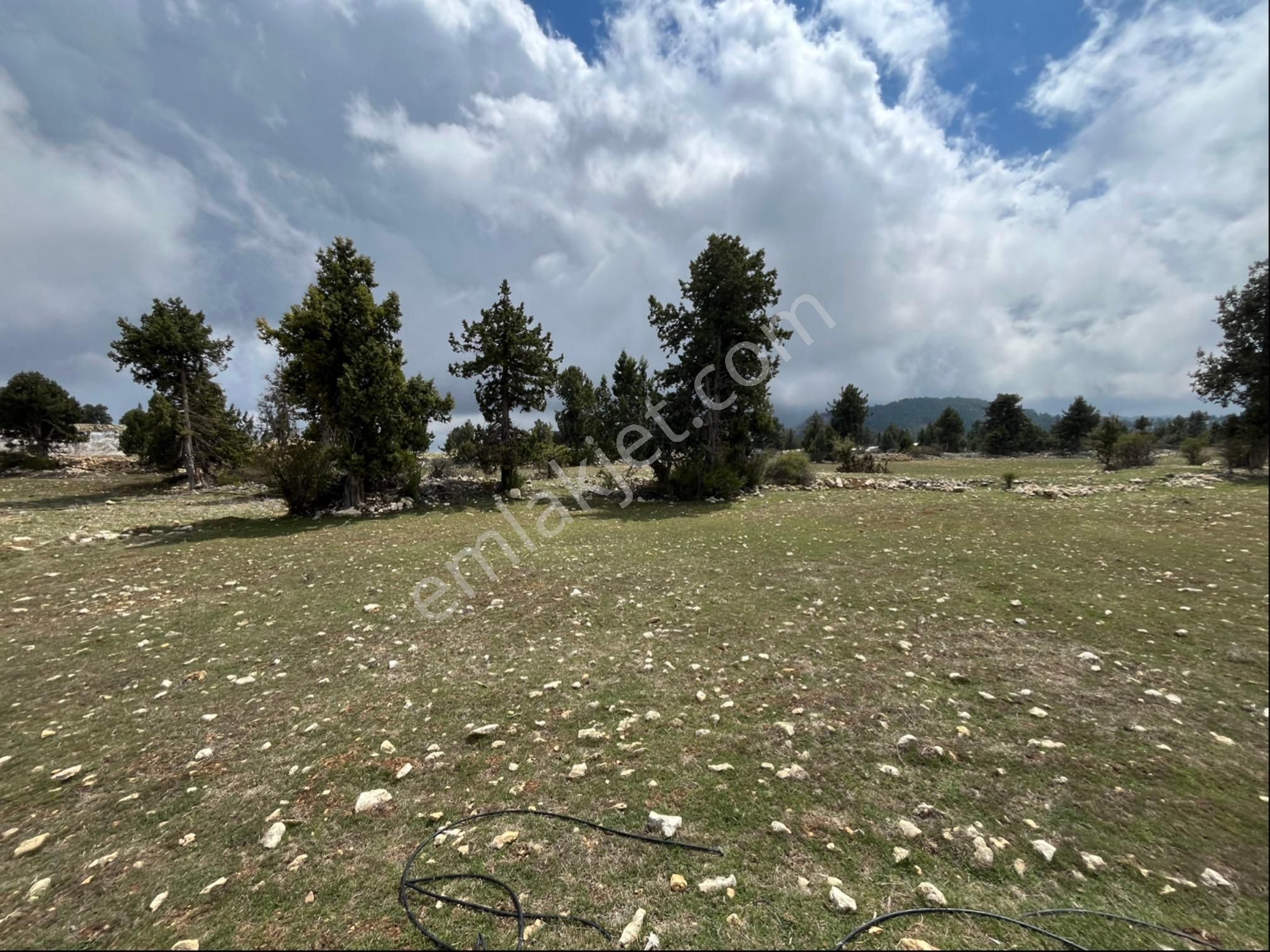 Çerçili Süpürgelik’te 3.800 M2 Satılık Tarla - Görsel 7