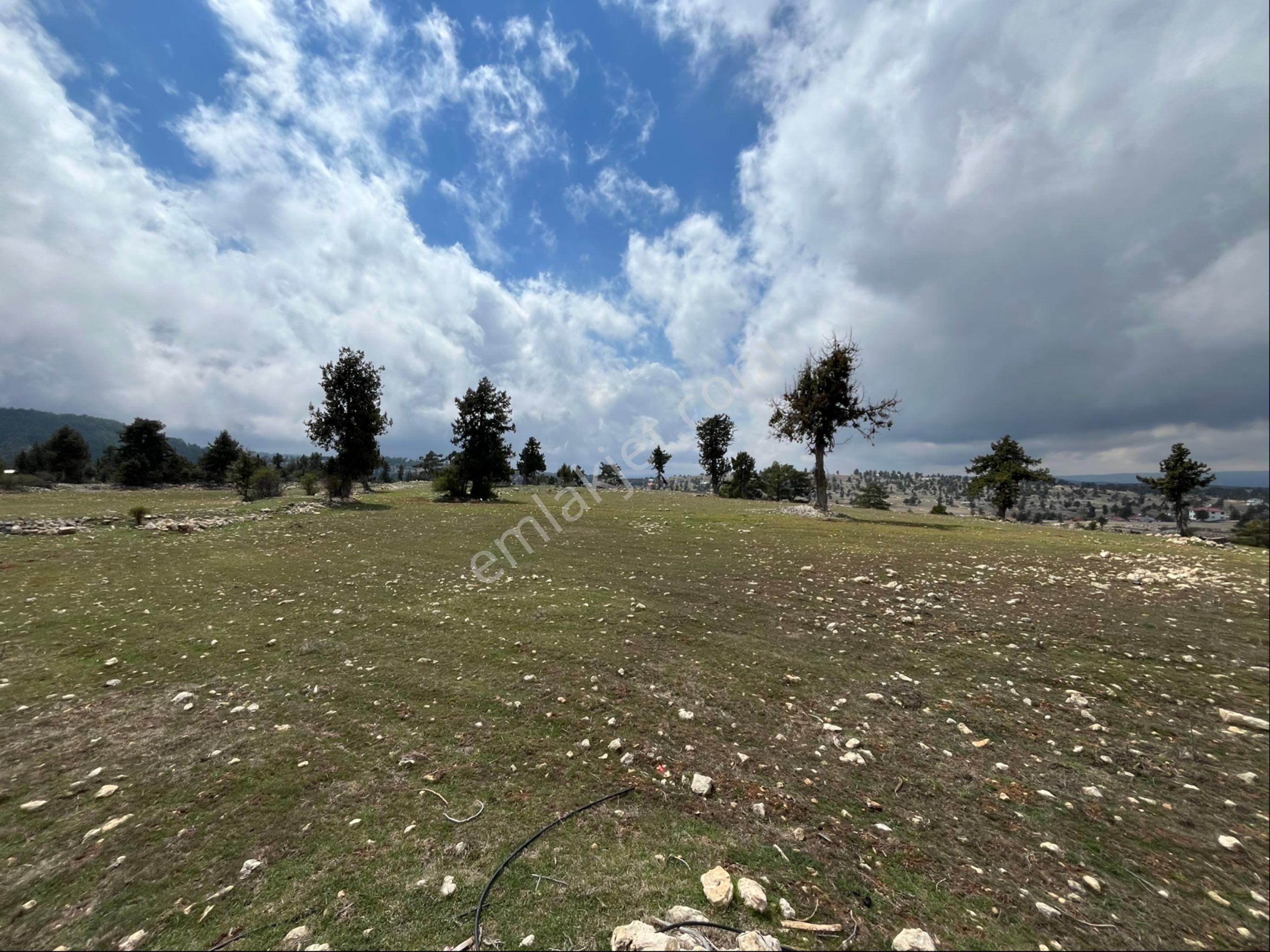 Çerçili Süpürgelik’te 3.800 M2 Satılık Tarla - Görsel 6
