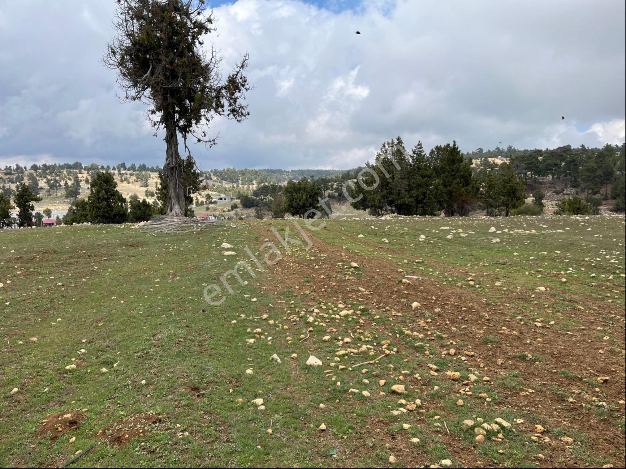 Çerçili Süpürgelik’te 3.800 M2 Satılık Tarla - Görsel 2