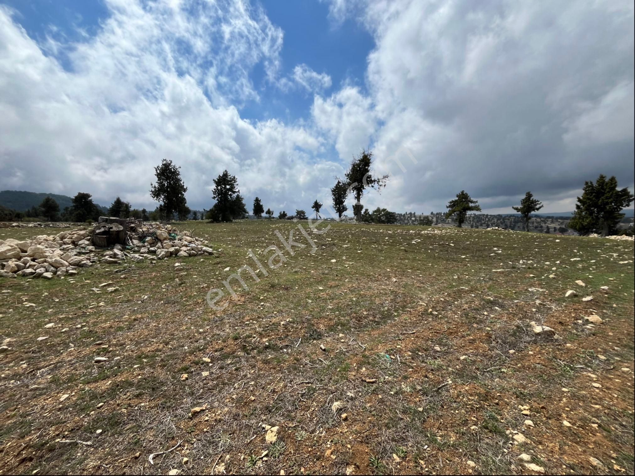 Çerçili Süpürgelik’te 3.800 M2 Satılık Tarla - Görsel 3