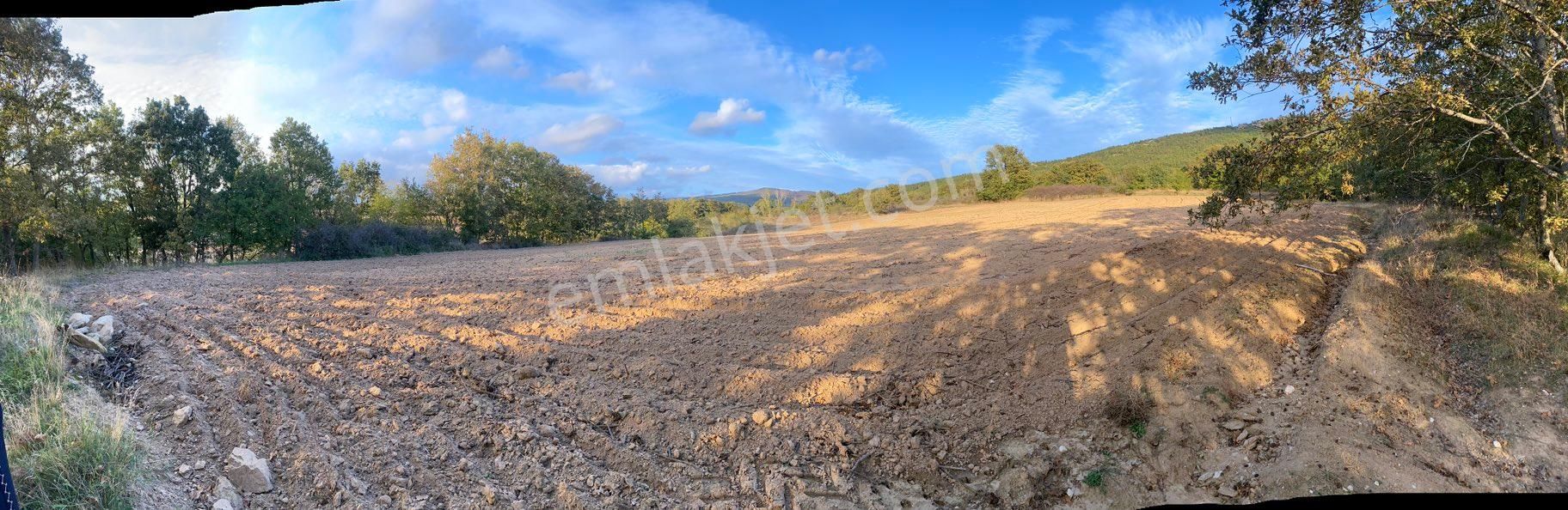 Kırklareli Kurudere Köyünde Satılık Tarla