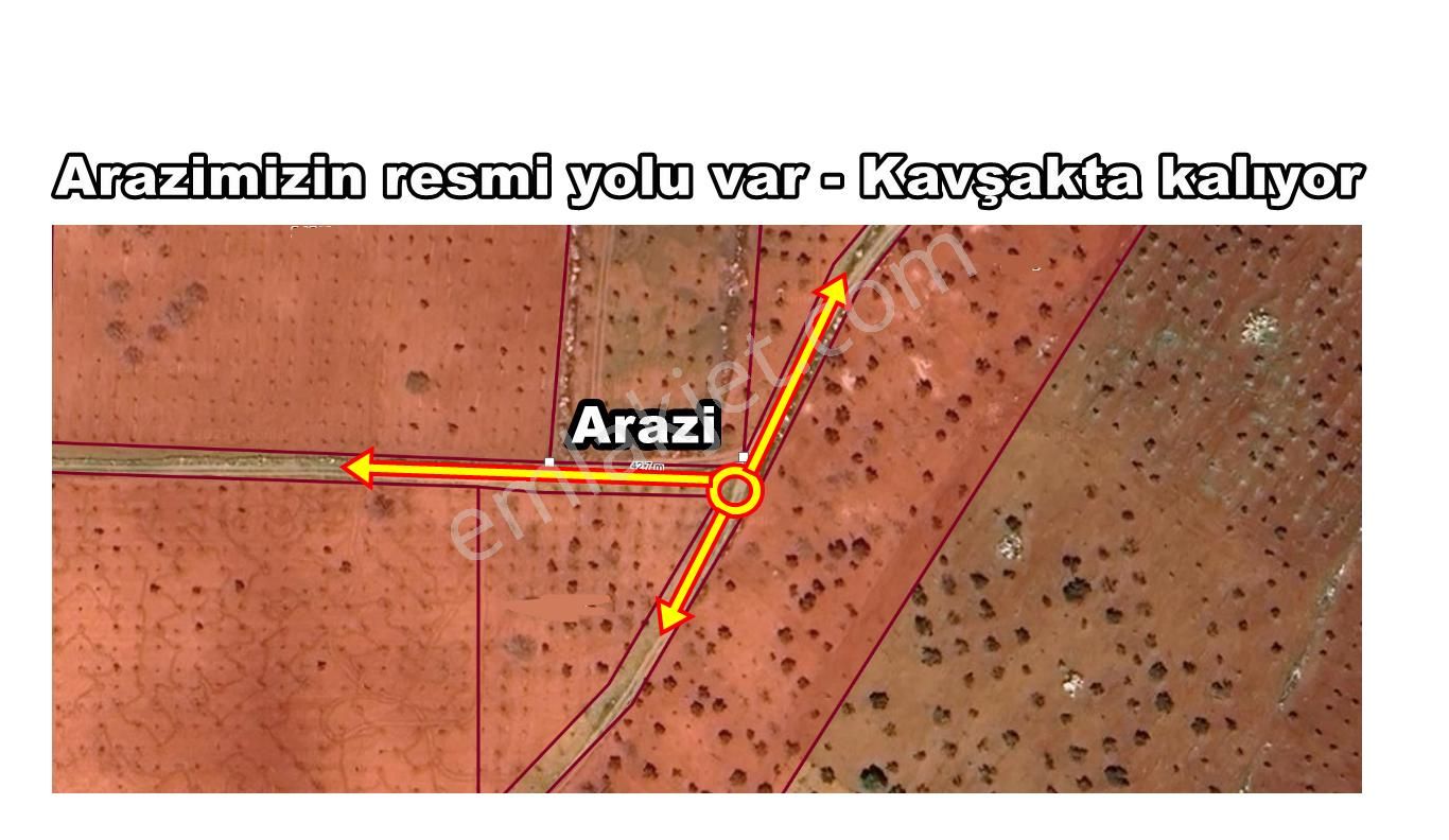 Oğuzeli Tınazdere Mah. 350 Adet Zeytin Ve Resmi Yol, Köy 1 Km - Görsel 4