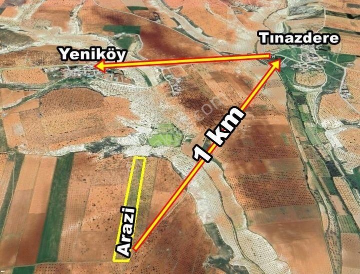 Oğuzeli Tınazdere Mah. 350 Adet Zeytin Ve Resmi Yol, Köy 1 Km - Görsel 9