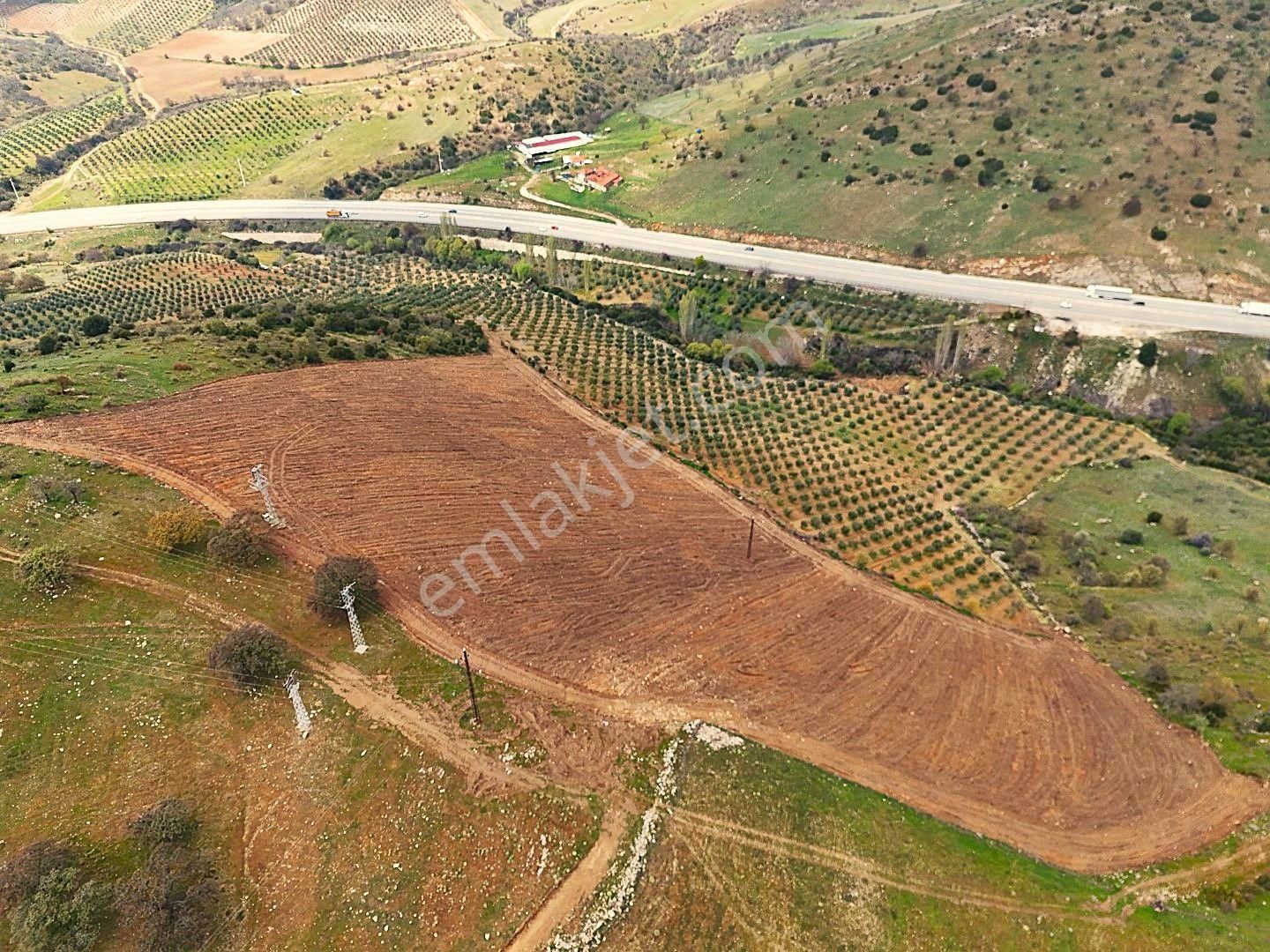 Salihli De Satılık 93517 M2 Zeytinlik Ve Tarla (video) - Görsel 13