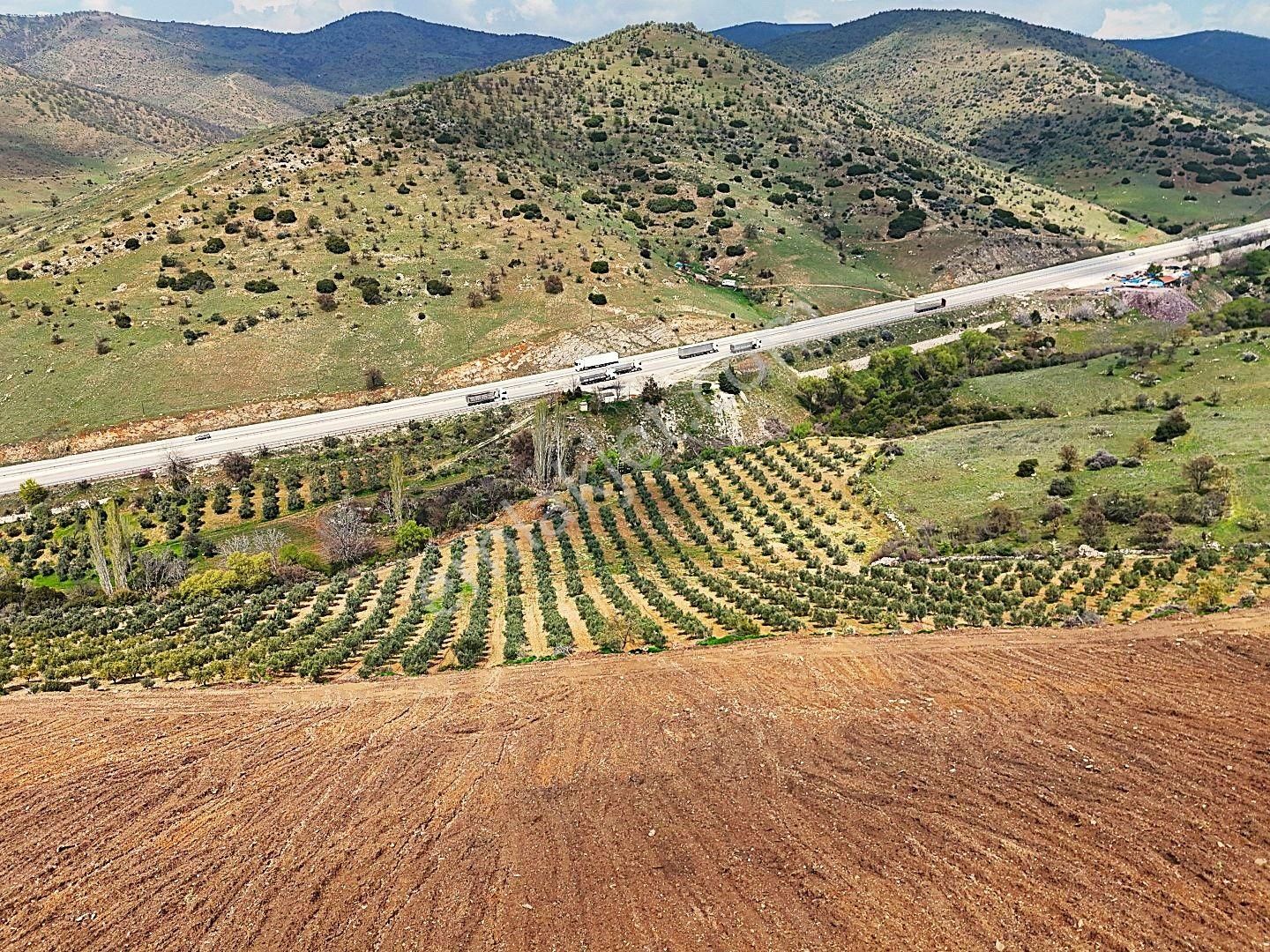 Salihli De Satılık 93517 M2 Zeytinlik Ve Tarla (video) - Görsel 24