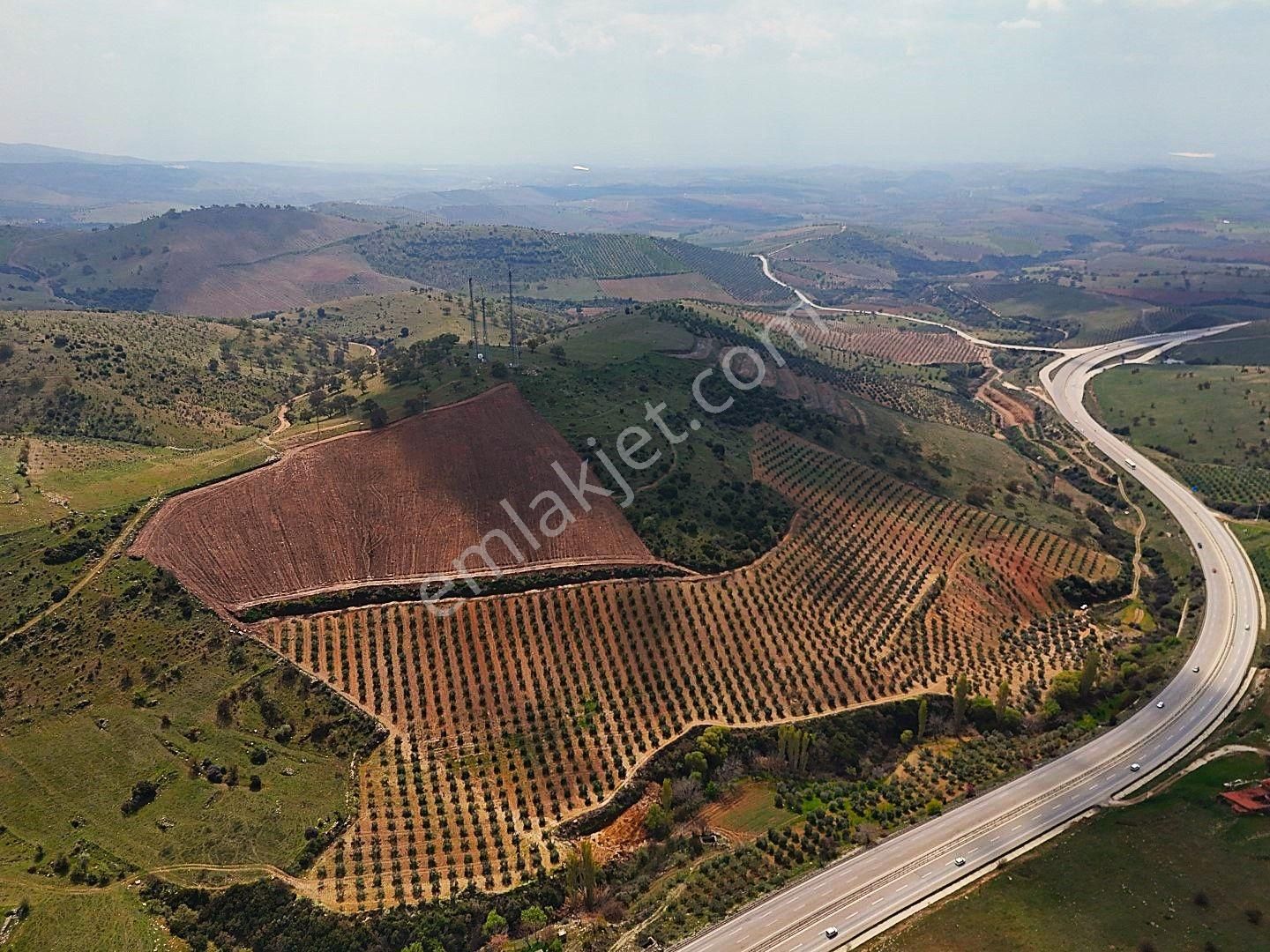 Salihli De Satılık 93517 M2 Zeytinlik Ve Tarla (video) - Görsel 11
