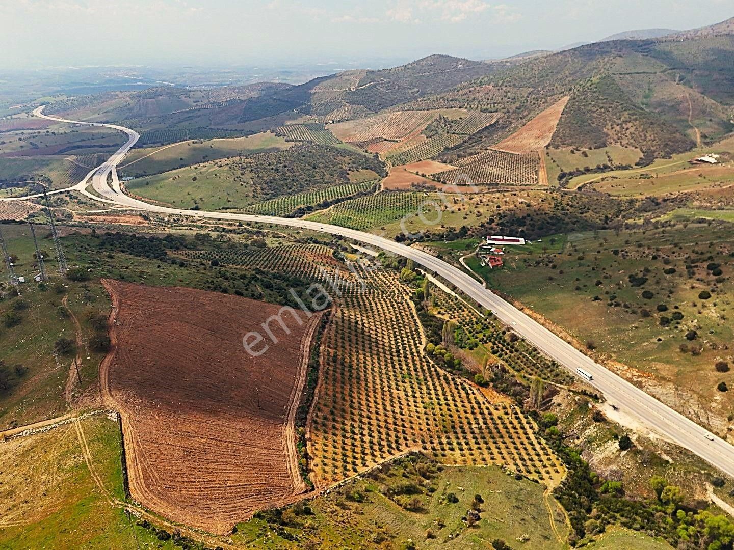 Salihli De Satılık 93517 M2 Zeytinlik Ve Tarla (video) - Görsel 3