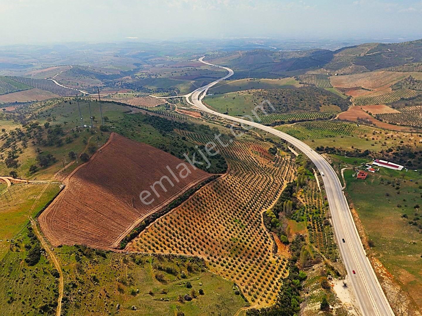 Salihli De Satılık 93517 M2 Zeytinlik Ve Tarla (video) - Görsel 2