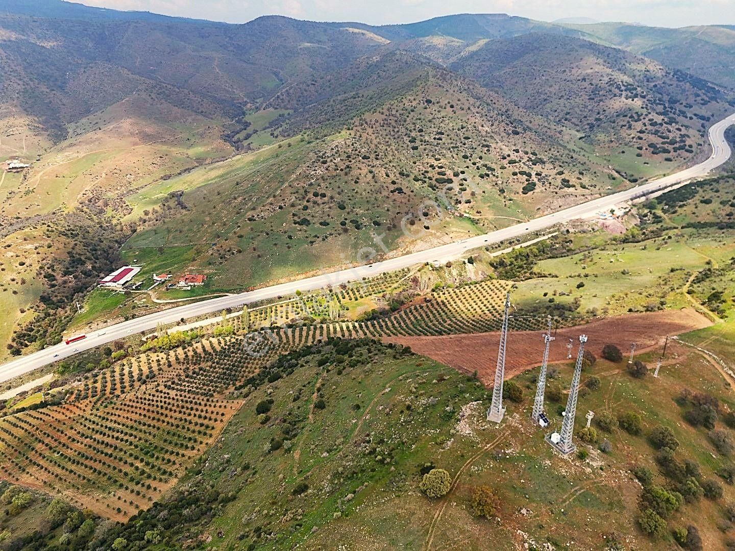 Salihli De Satılık 93517 M2 Zeytinlik Ve Tarla (video) - Görsel 7